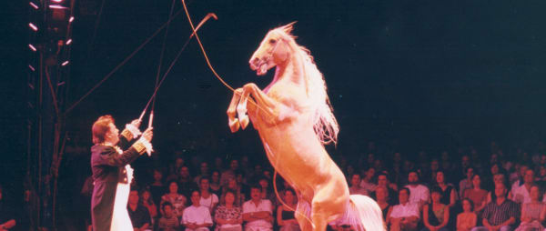End animal circuses